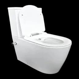 Toilet Bidets
