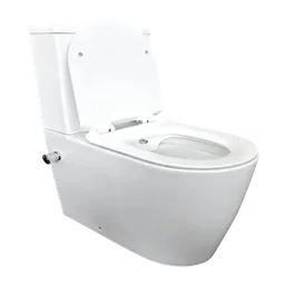 Toilet Bidets